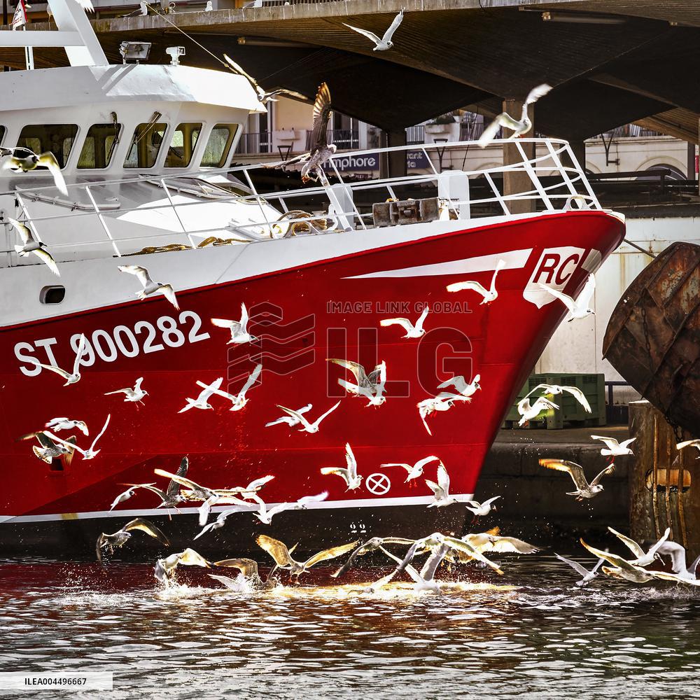 Illustration - Economy