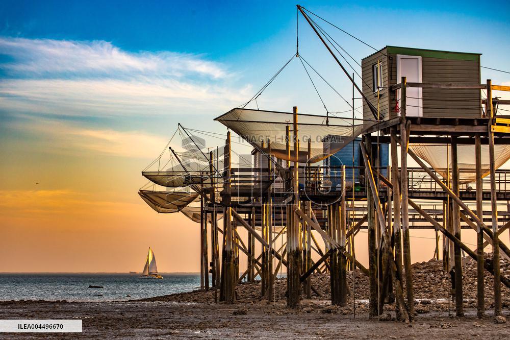 Illustration - Economy