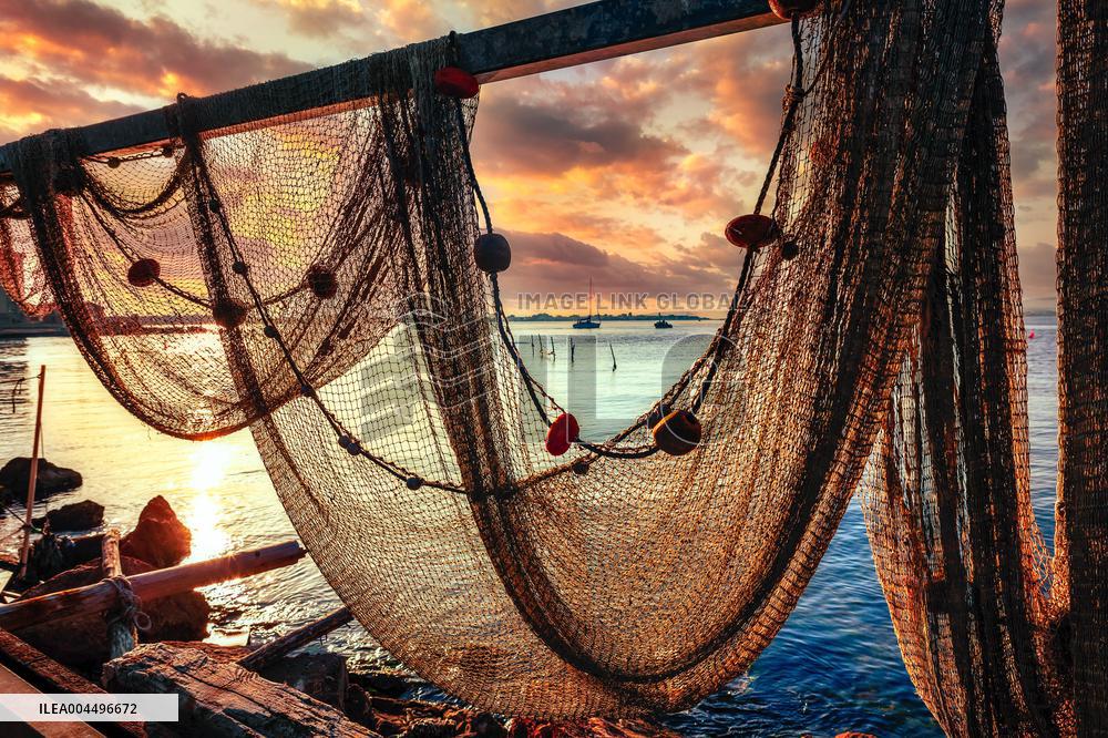 Illustration - Economy