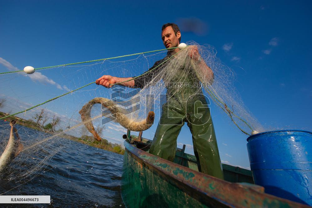 Illustration - Economy