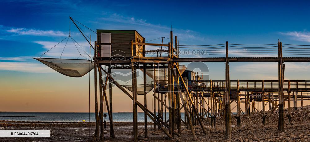 Illustration - Economy