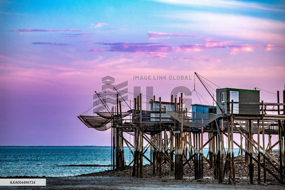 Illustration - Economy