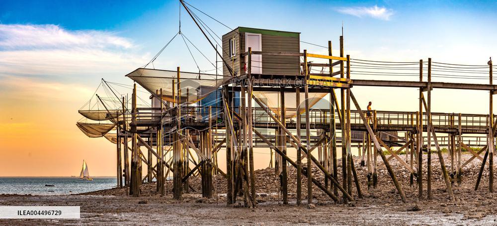 Illustration - Economy