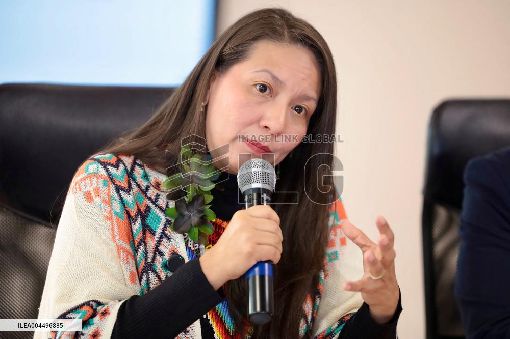 Amazon Rainforest Deforestation goes Down a 33% during the First Trimester of 2025