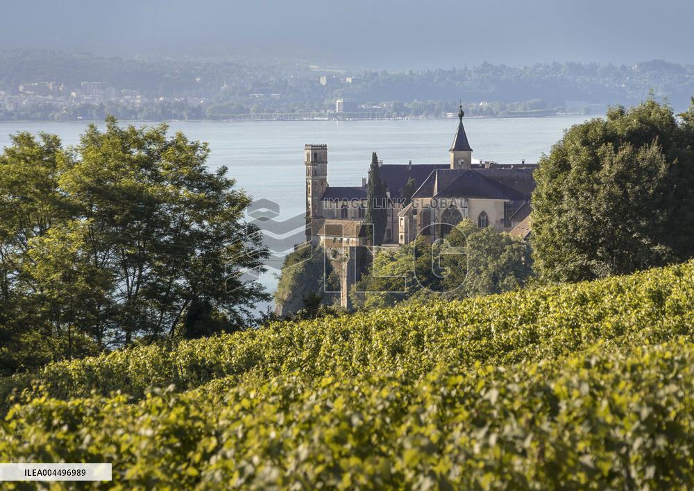 Illustration - The Alps in Summer