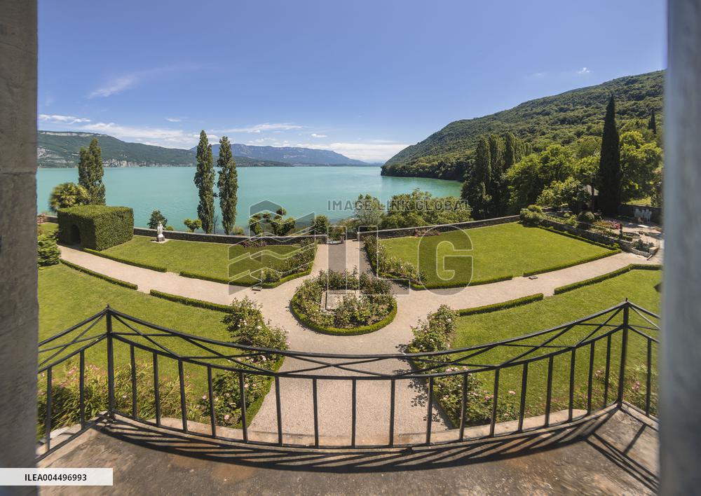 Illustration - The Alps in Summer