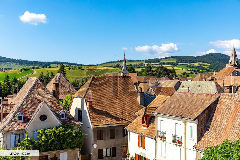 Illustration - The Alps in Summer