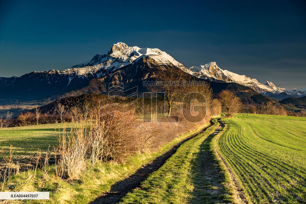 Illustration - The Alps in Summer