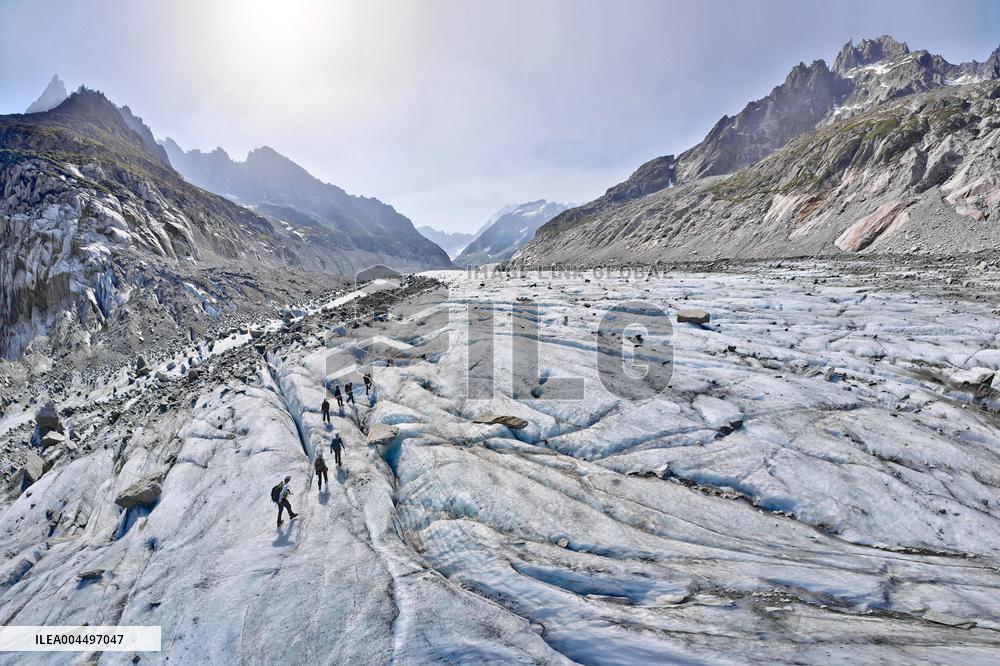 Illustration - The Alps in Summer