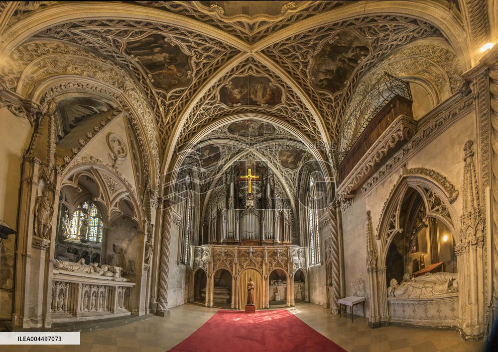 Illustration - The Alps in Summer