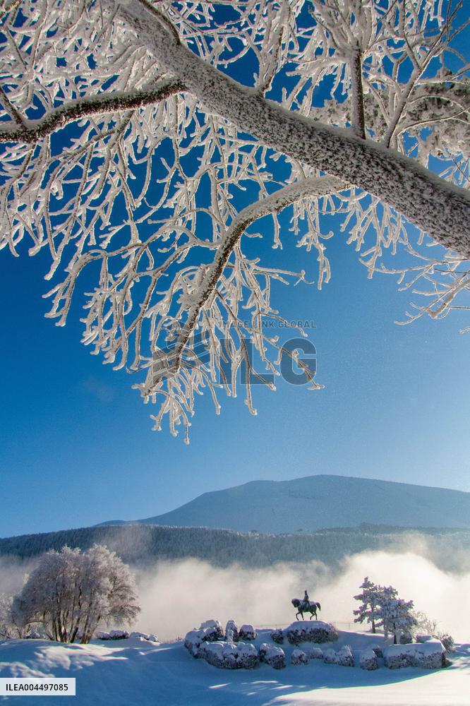 Illustration - The Alps in Summer