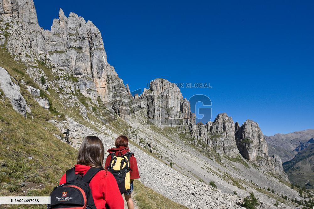 Illustration - The Alps in Summer