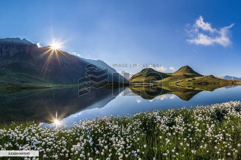 Illustration - The Alps in Summer