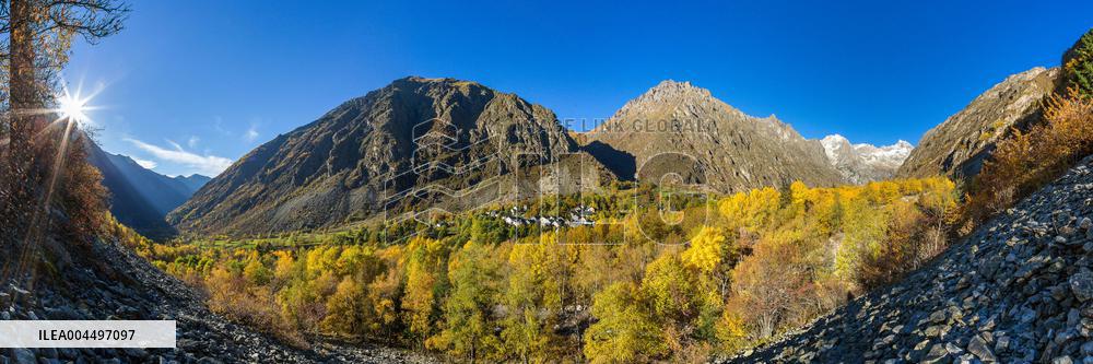 Illustration - The Alps in Summer