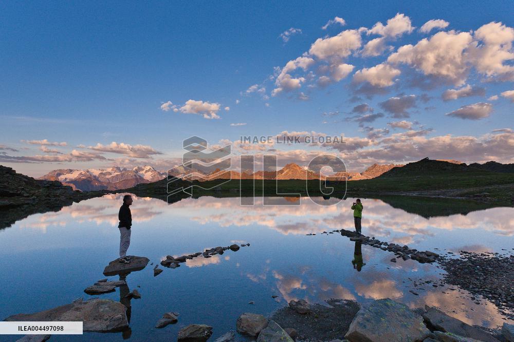 Illustration - The Alps in Summer