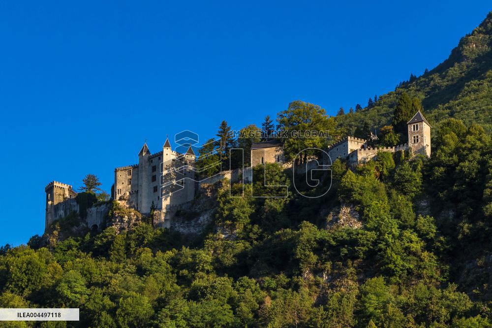 Illustration - The Alps in Summer