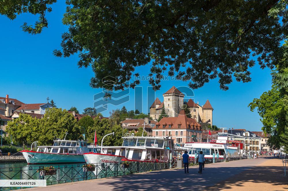 Illustration - The Alps in Summer