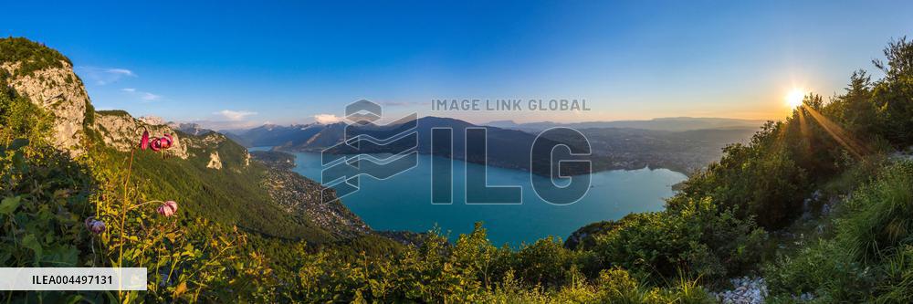 Illustration - The Alps in Summer