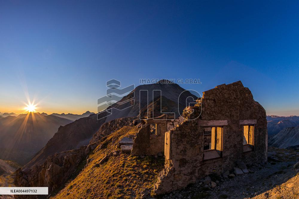 Illustration - The Alps in Summer