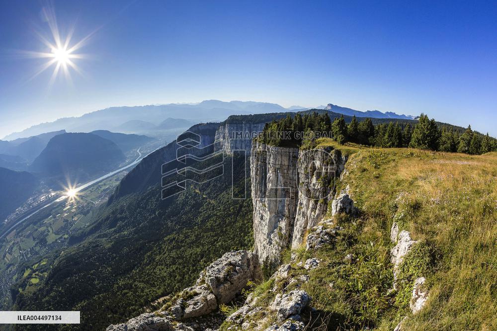 Illustration - The Alps in Summer