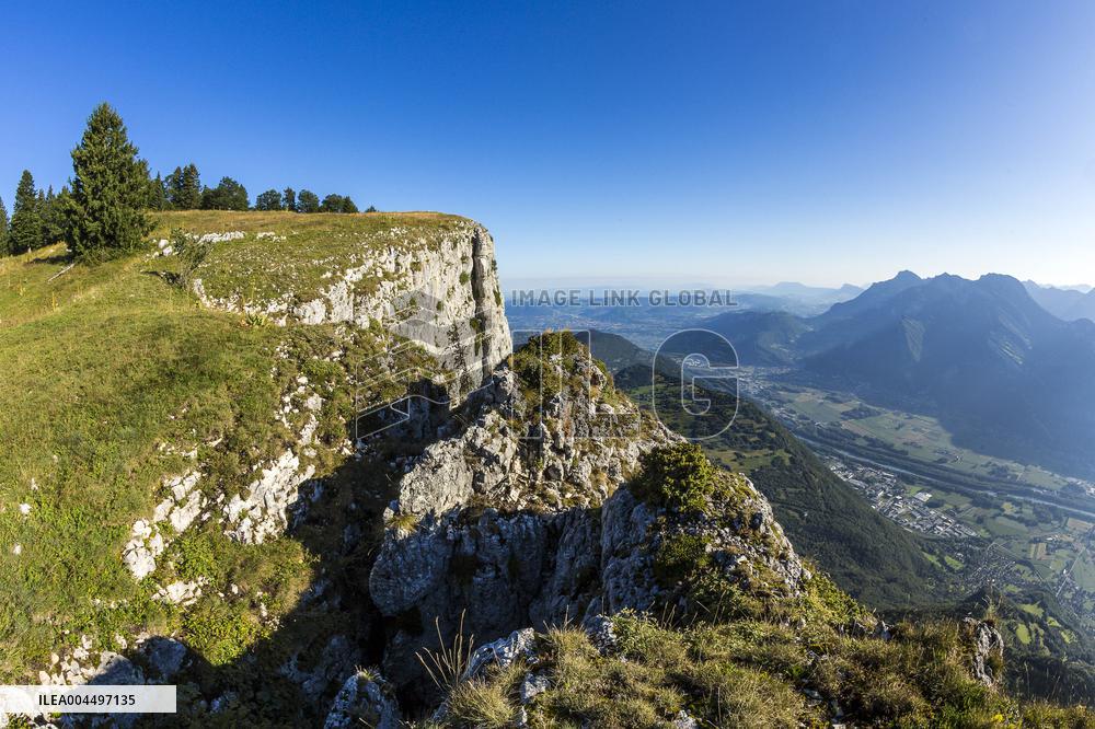 Illustration - The Alps in Summer