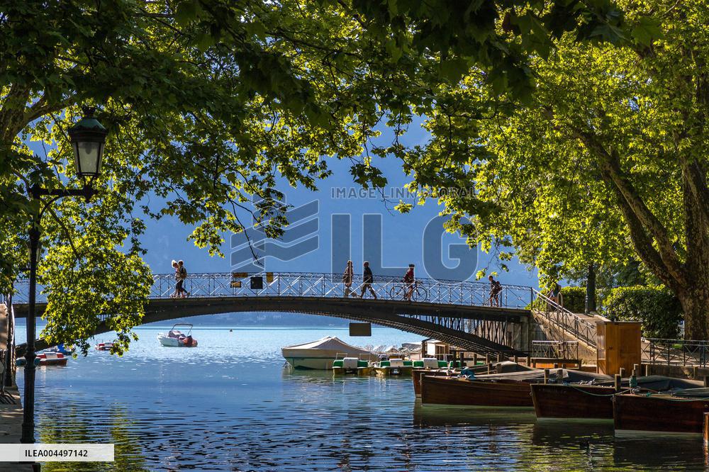 Illustration - The Alps in Summer