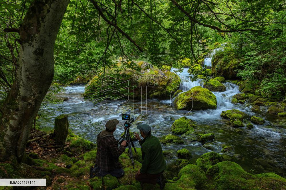 Illustration - The Alps in Summer