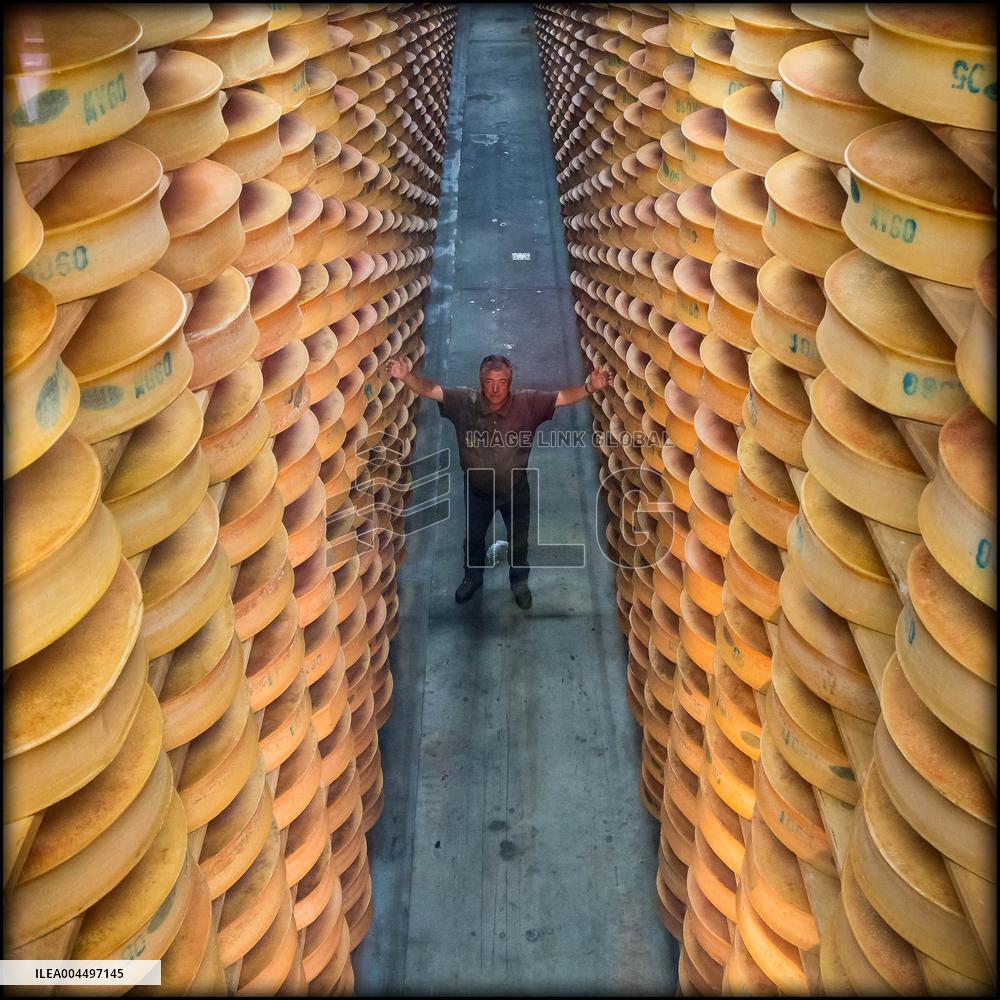 Illustration - The Alps in Summer