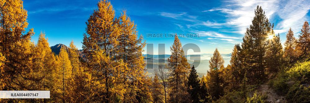 Illustration - The Alps in Summer