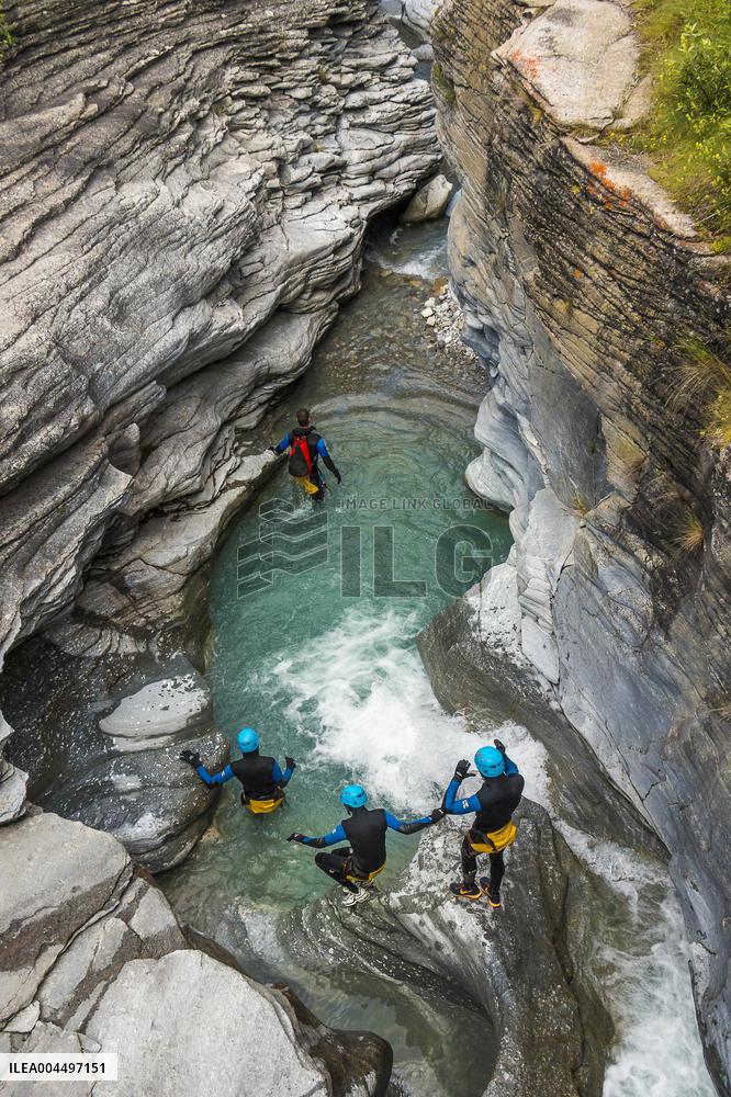 Illustration - The Alps in Summer