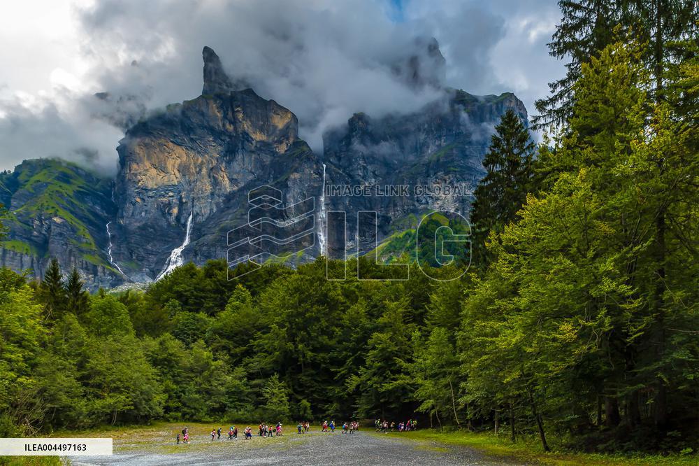 Illustration - The Alps in Summer