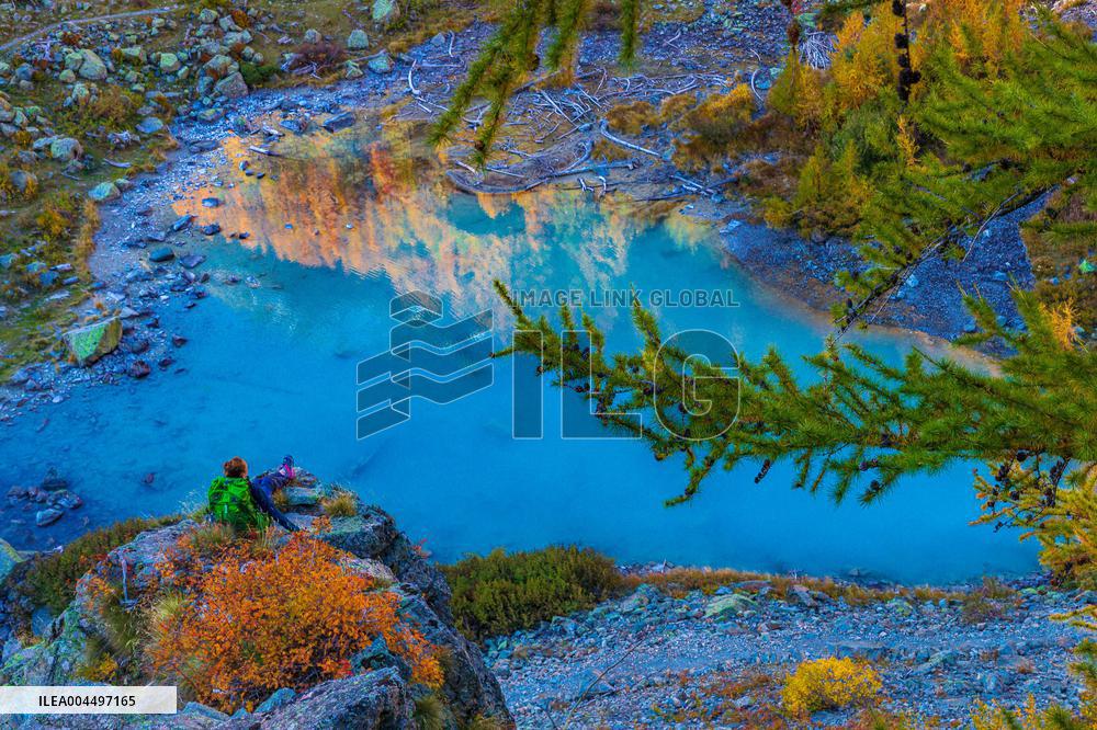 Illustration - The Alps in Summer
