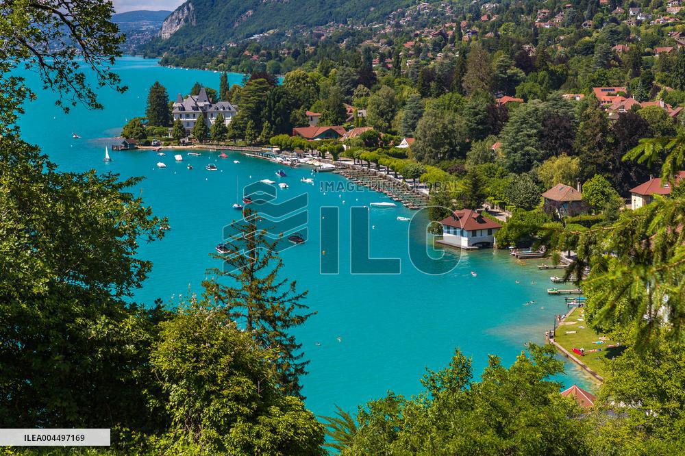 Illustration - The Alps in Summer