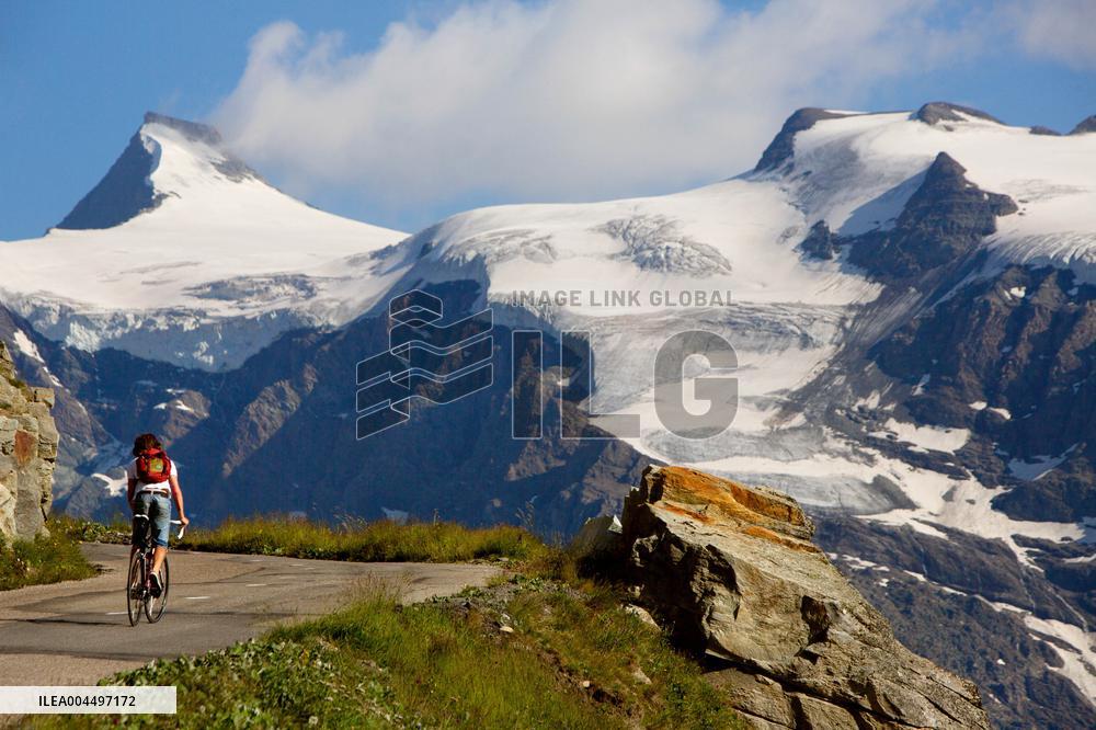 Illustration - The Alps in Summer