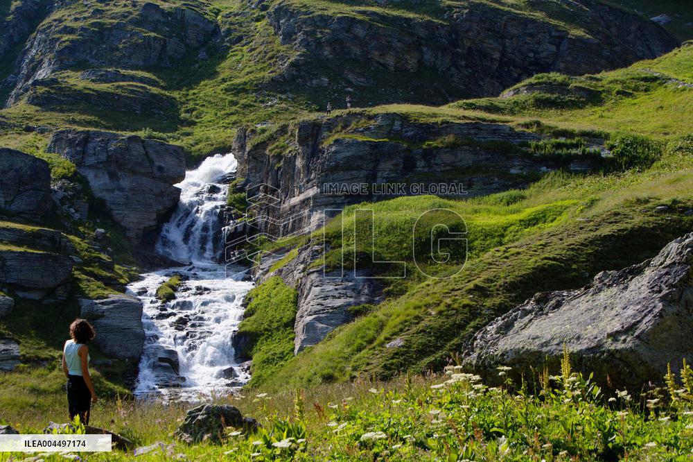 Illustration - The Alps in Summer