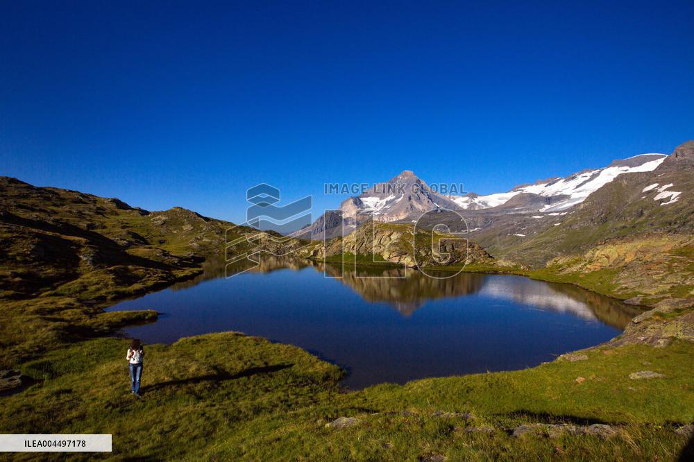 Illustration - The Alps in Summer