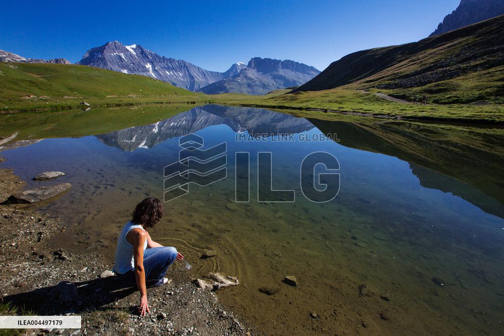 Illustration - The Alps in Summer