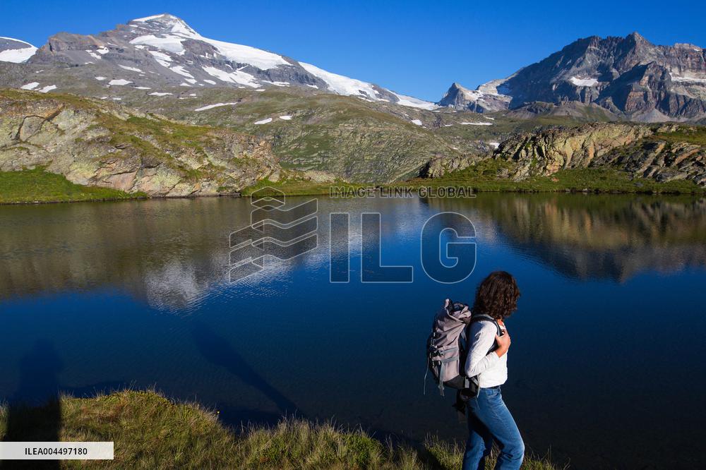 Illustration - The Alps in Summer