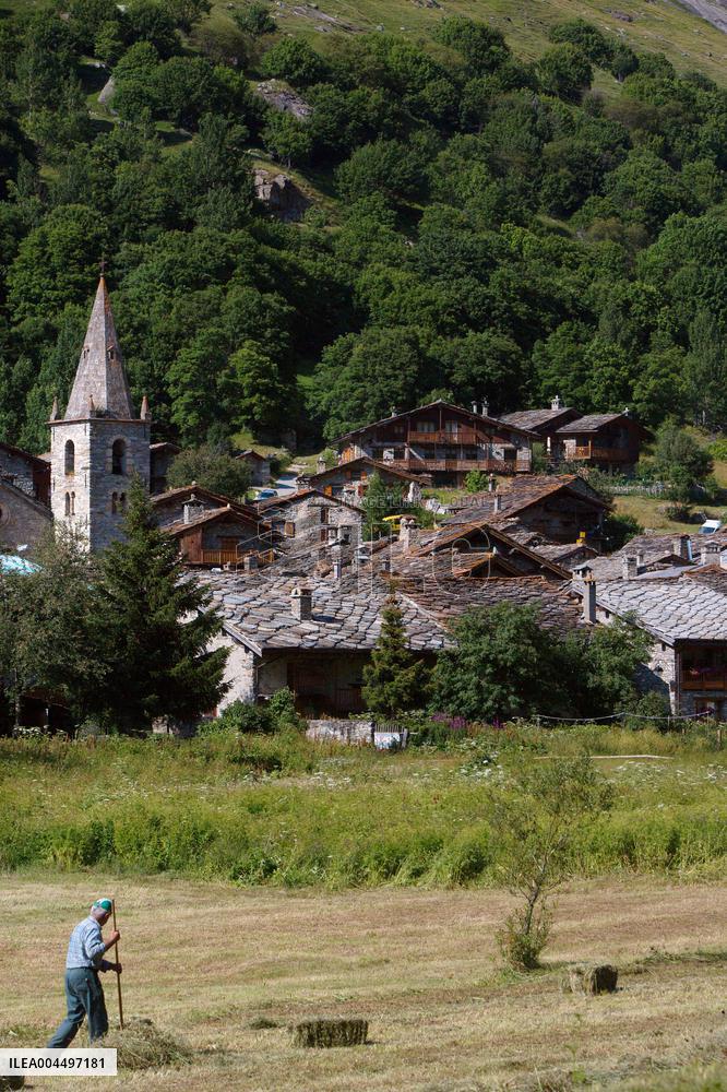 Illustration - The Alps in Summer