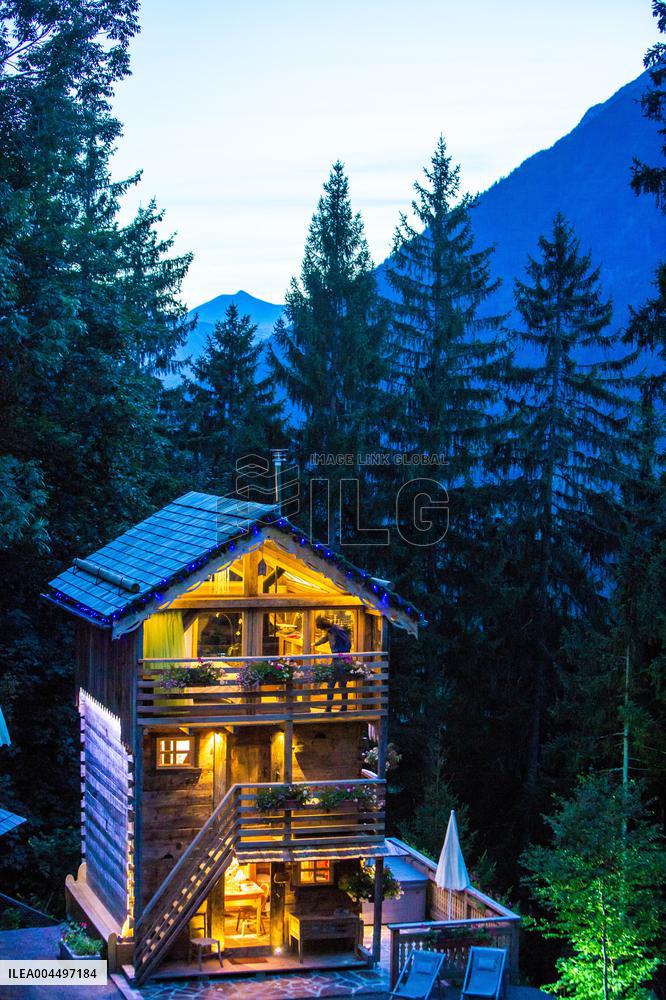 Illustration - The Alps in Summer