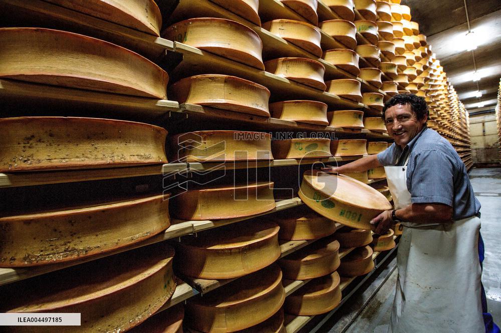 Illustration - The Alps in Summer