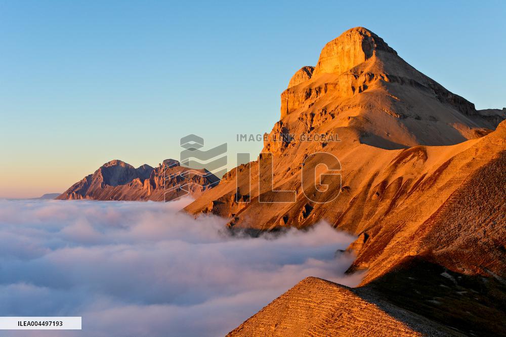 Illustration - The Alps in Summer