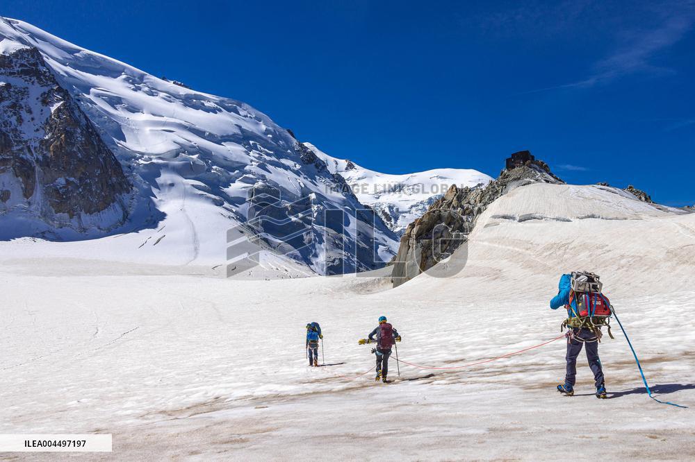 Illustration - The Alps in Summer