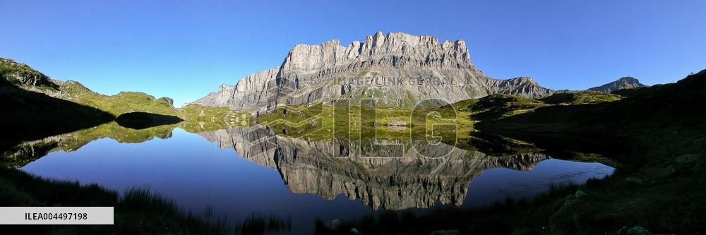 Illustration - The Alps in Summer