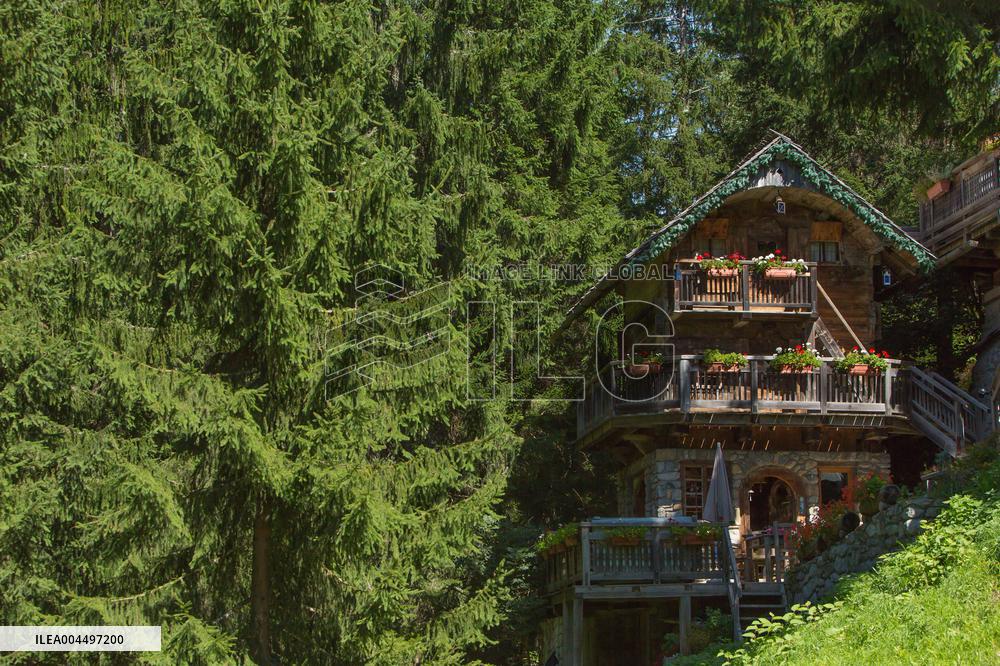 Illustration - The Alps in Summer