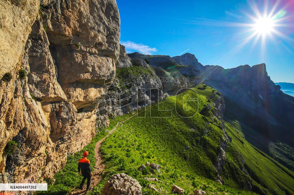 Illustration - The Alps in Summer