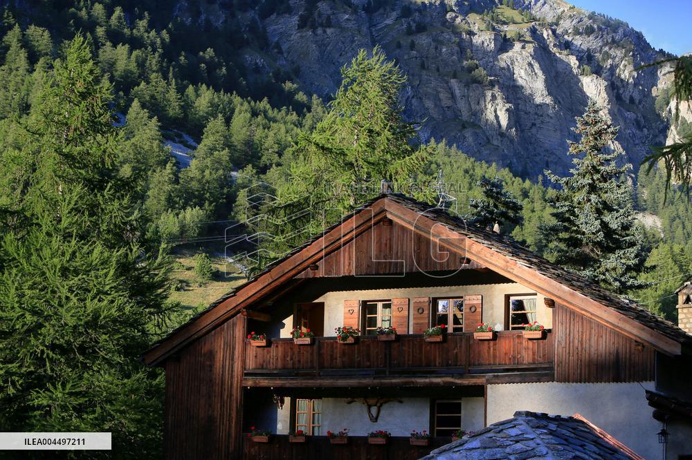 Illustration - The Alps in Summer