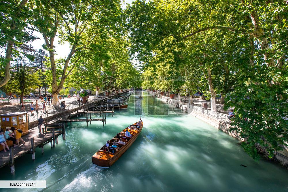 Illustration - The Alps in Summer