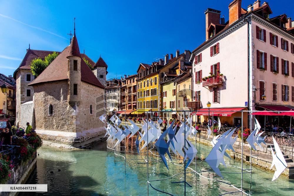 Illustration - The Alps in Summer