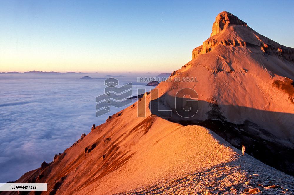 Illustration - The Alps in Summer